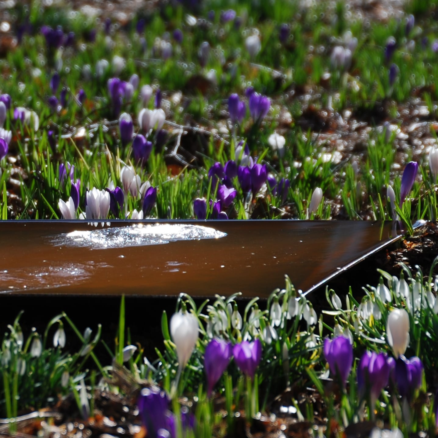 Firkantet spejlbassin - Lille - Billede 4