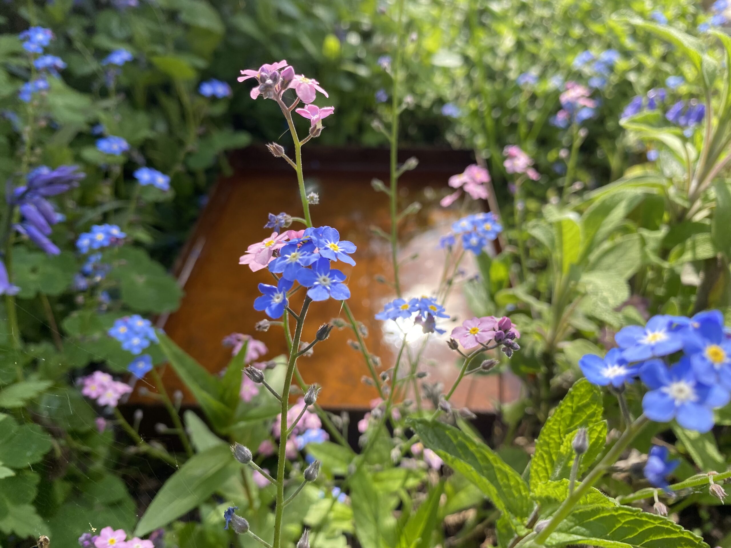 Firkantet spejlbassin - Lille - Billede 2
