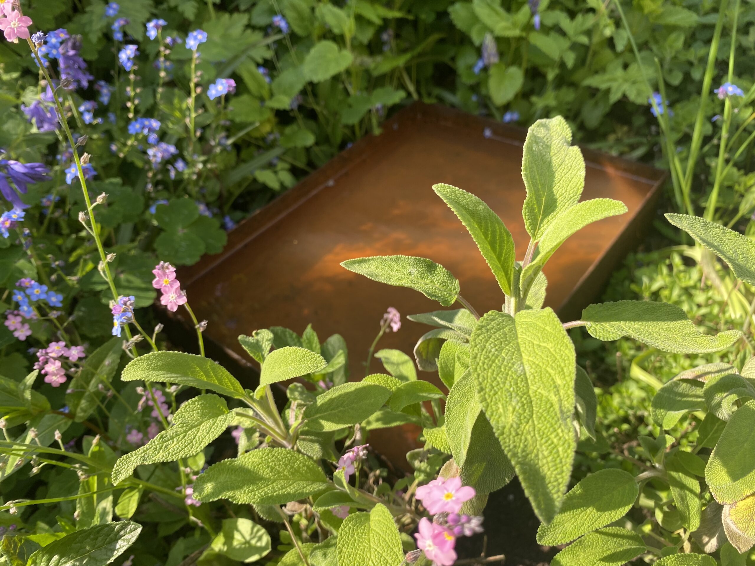 Firkantet spejlbassin - Lille