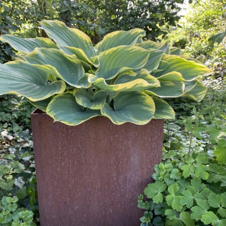 Højbede uden bund i 3 mm råjern