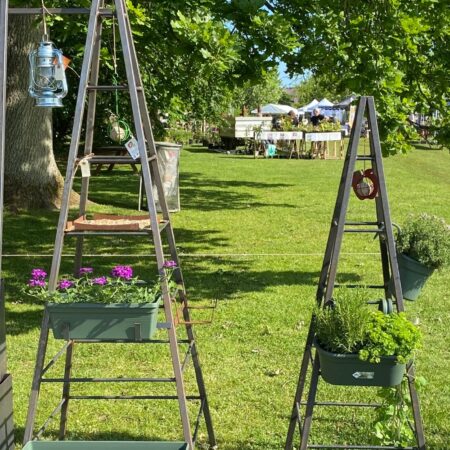 Havens pyramide mellem