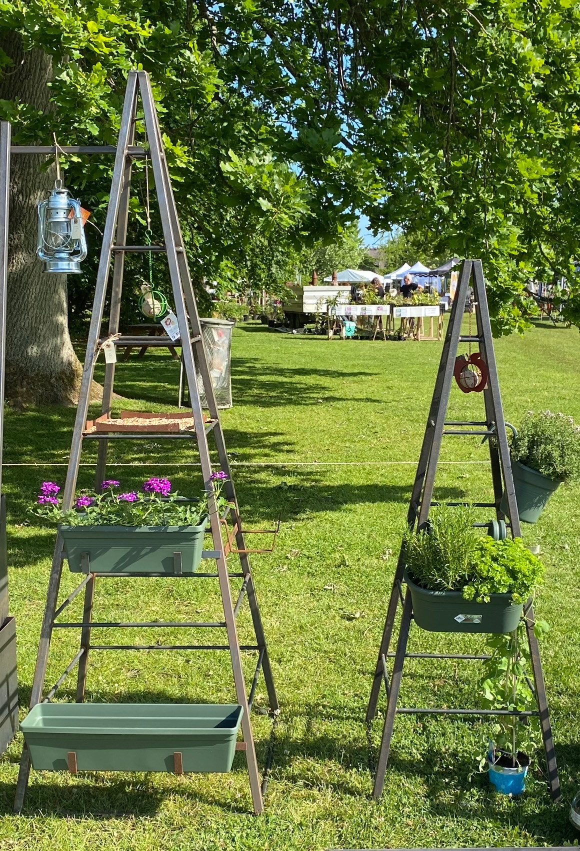 Havens pyramide lille - Billede 4