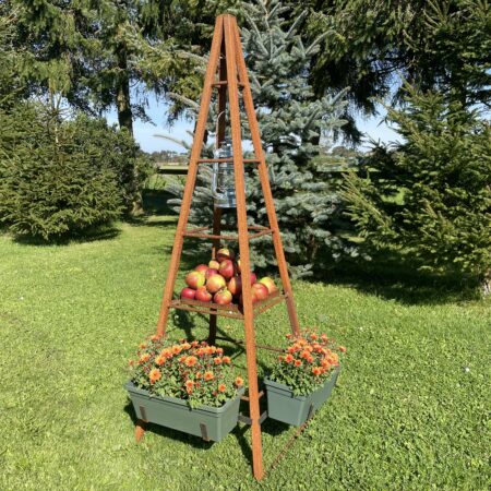 Havens pyramide lille