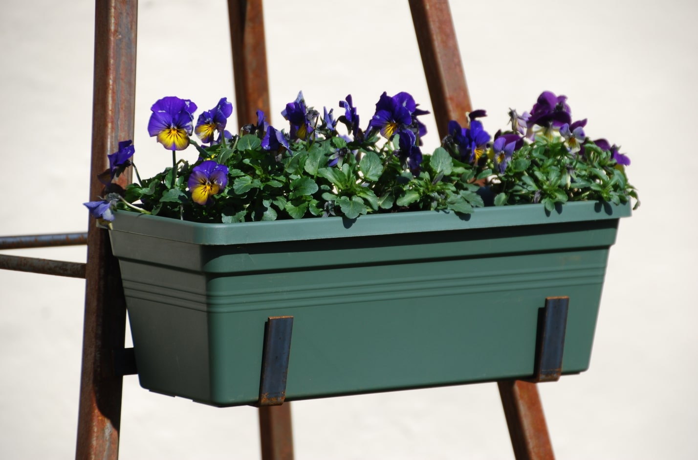 Plantekasse inklusiv stålbøjle