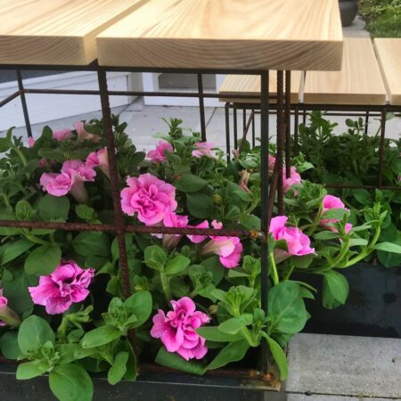 Ramme i rionet 40x40 cm