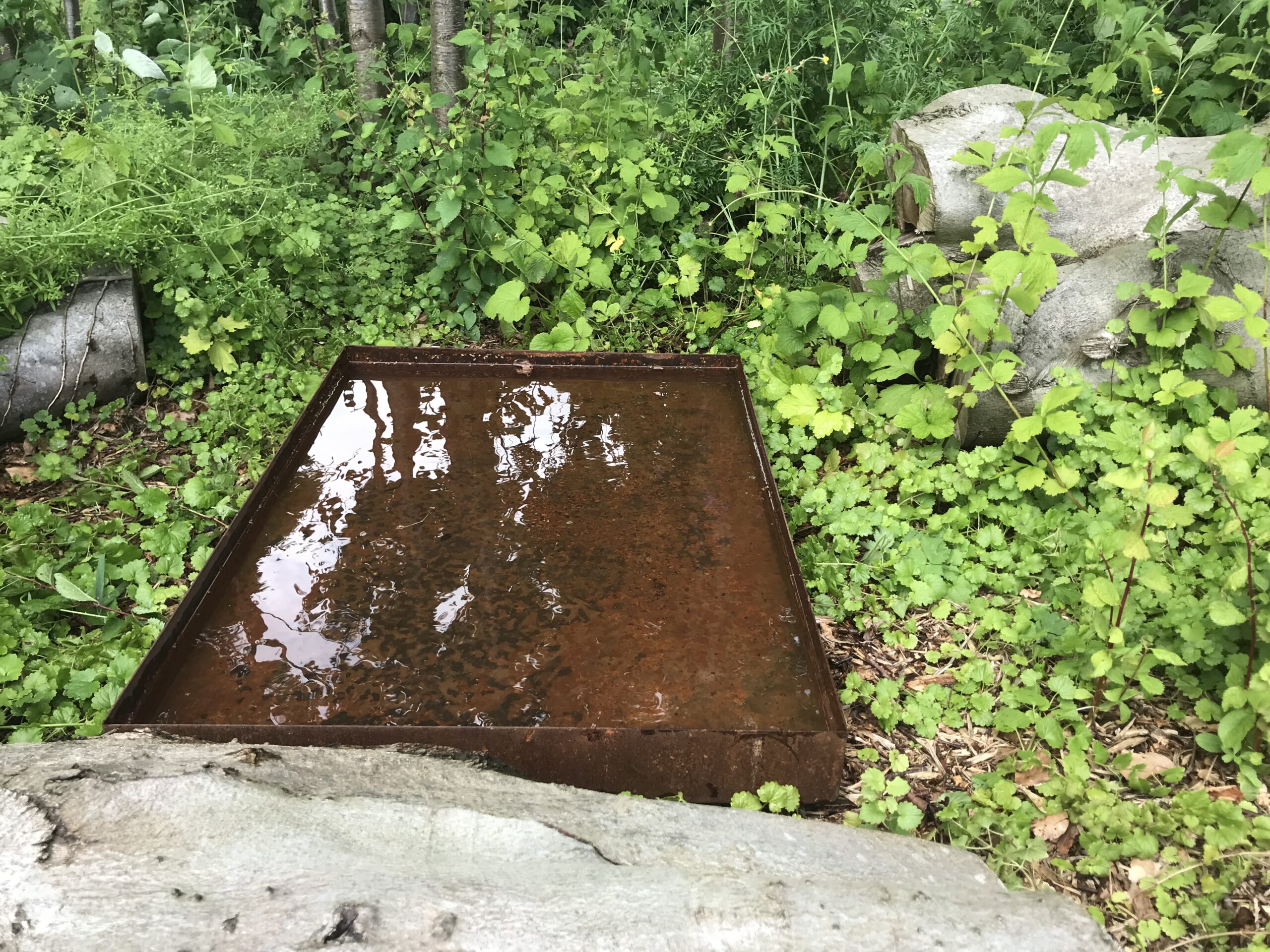 Firkantet spejlbassin - Stor - Billede 4