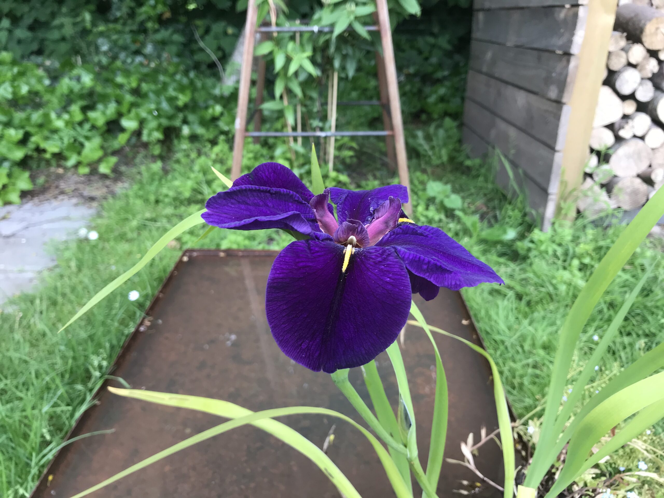 Firkantet spejlbassin - Stor - Billede 3